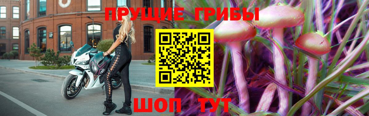 Истра  Галлюциногенные грибы Psilocybe  Вход с VPN 